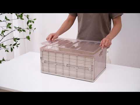 Caja organizadora Plegable armable 25 x 15 x 10,5 cm (L8801)